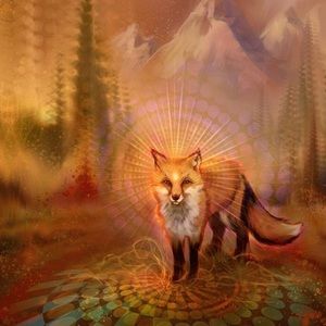 Meet your Posher, Abigail